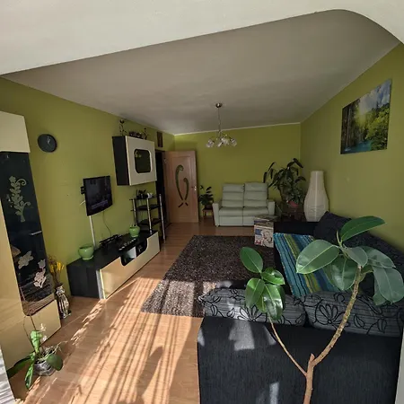 Noua Apartment-2